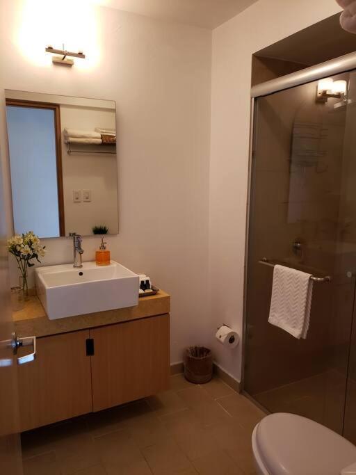 Luxury In Carso, Polanco * Mexico
